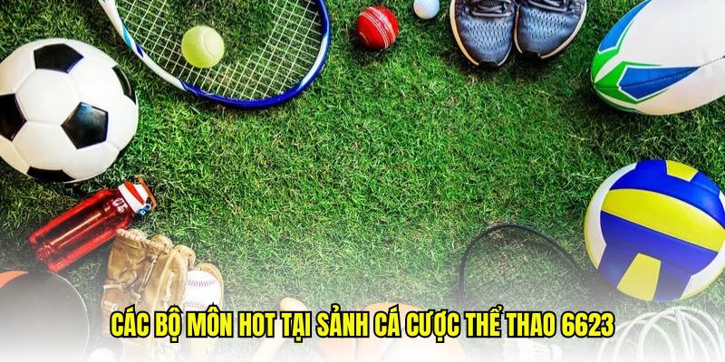Các sảnh thể thao 6623 nổi tiếng bật nhất thị trường