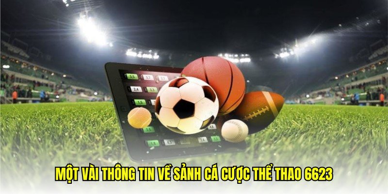 Một vài thông tin về sảnh cá cược thể thao 6623